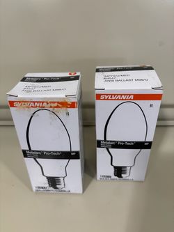 Metal Halide bulbs
