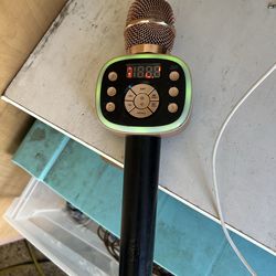 Carpool Karaoke Microphone