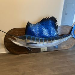 Pacific Sailfish Mount