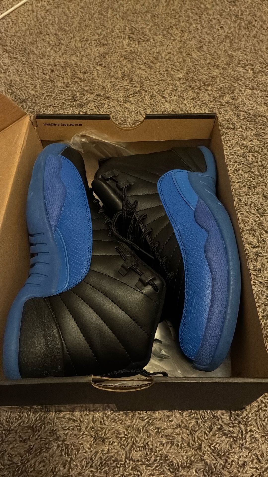 Jordan 12s