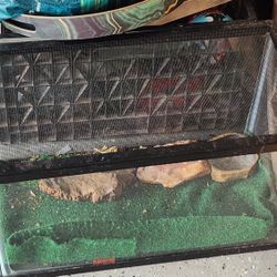 Small Amphibians Tank 