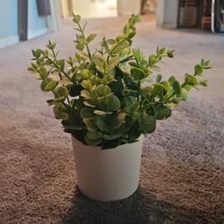 Small Faux Plant