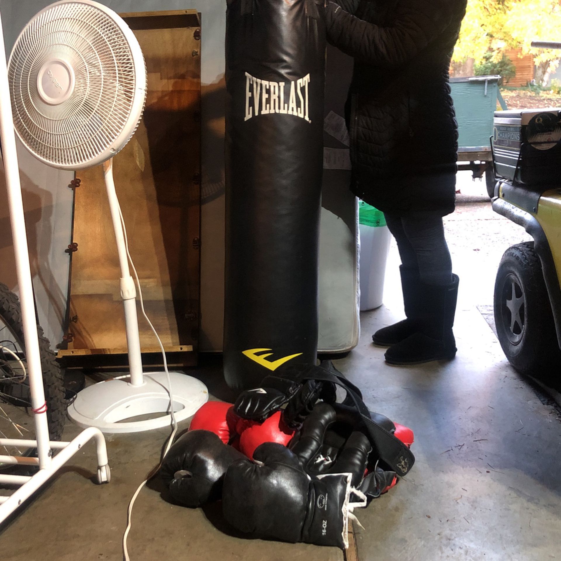 Everlast 100lb heavy Bag Boxing Glove Set