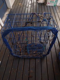 Crab Pot