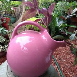 Pink Jar Plant Arrangement 