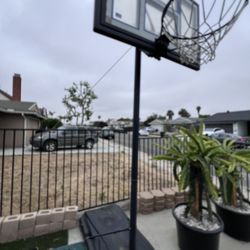 Portable Basketball Hoop/stand