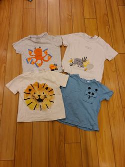 ZARA Baby  9/12 Months T Shirts  - Like New  (4)