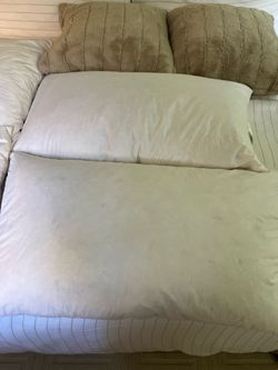Euro and king size pillow inserts