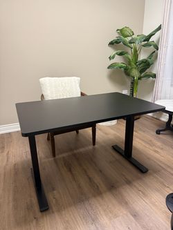 FlexiSpot Black Motorized Adjustable Standing Desk