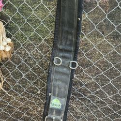 Nylon Weaver Cinch