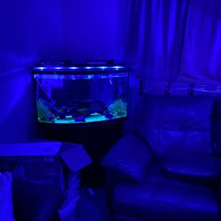 Large  Fish Tank Estimated 55 Gallons Maybe More