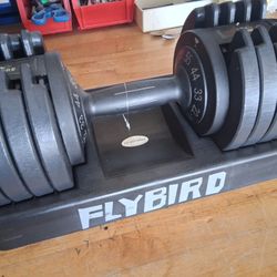 SINGLE FLYBIRD ADJUSTABLE  55LB WEIGHT
