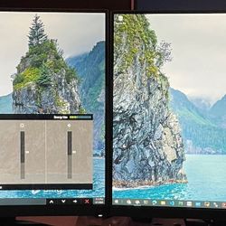 Dell S2415H 24” IPS Dual Monitors Built-in Speakers