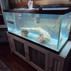 75 Gallon Saltwater Tank W/ Cabinet