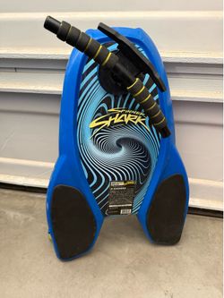 Spinner shark