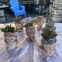 Girl Face Succulent Arrangements