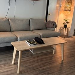 Article Sofa And Coffee Table