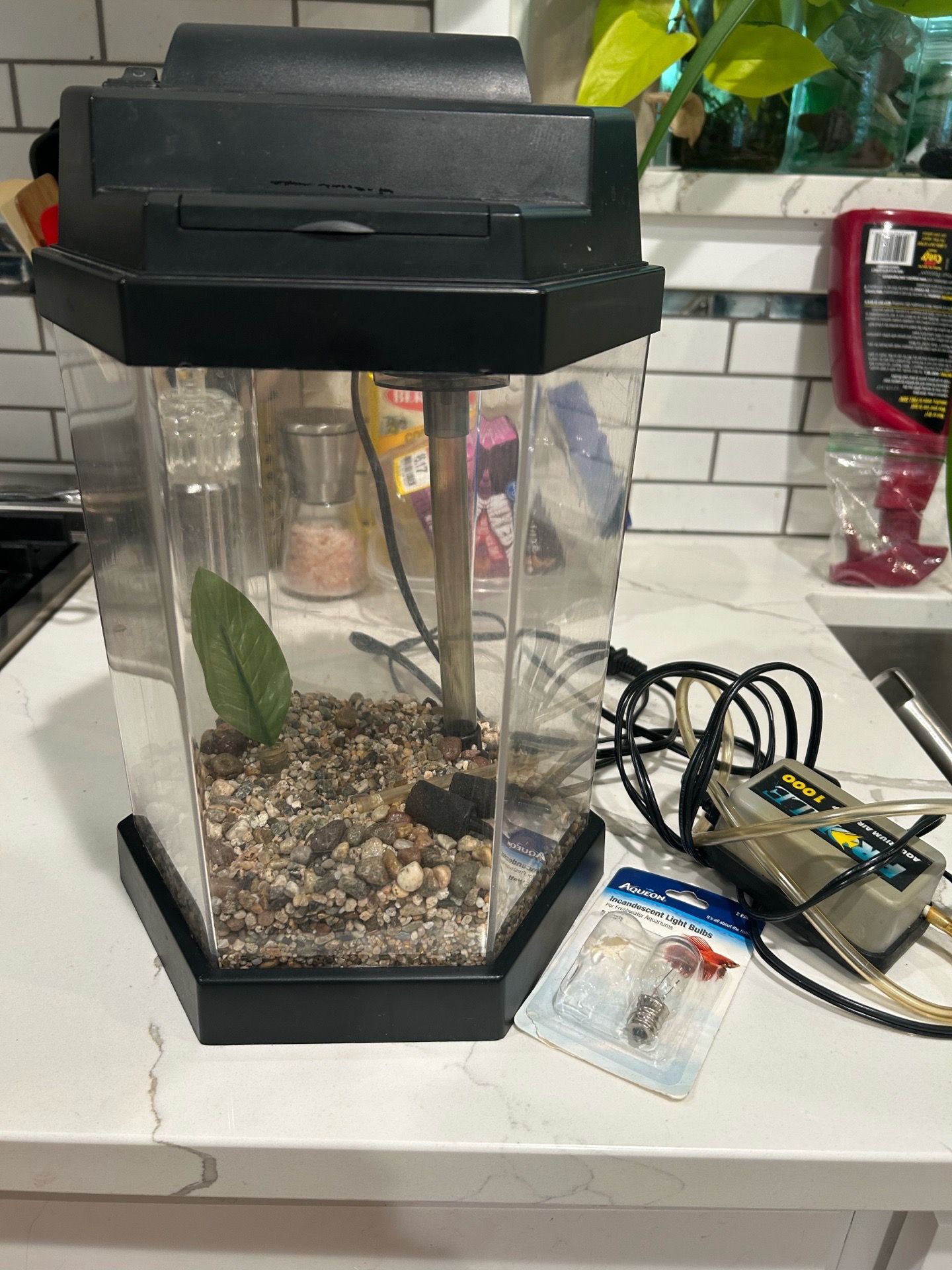 Fish Tanks (2)