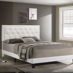 Offer up queen bed frame outlet