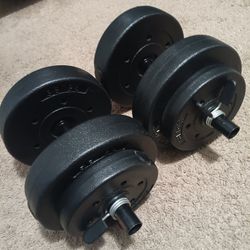 20lbs Dumbells 
