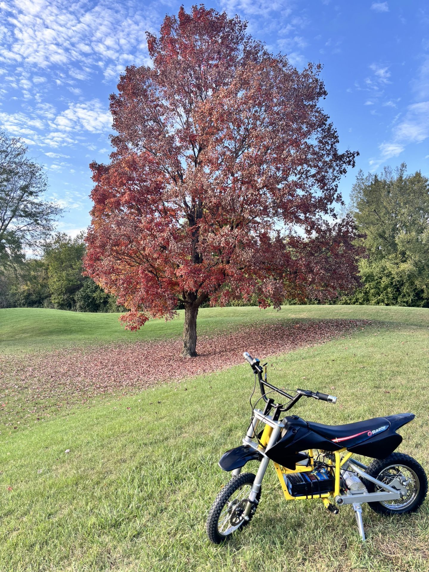 UPGRADED MX 650 48v 31MPH (depending On Weight) ALOT OF TORQUE - E-bike- E Moto - Dirtbike- Electric Dirtbike