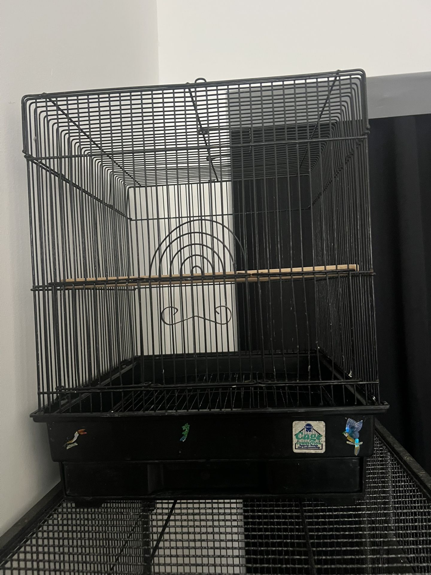 Bird Cage