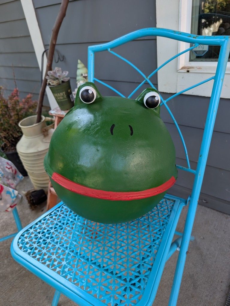 Mr. Frog