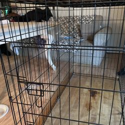 xl dog crate 