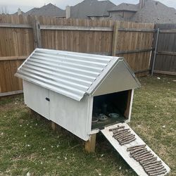 Chicken /animal coop