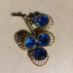 Gorgeous Blue Earrings With Broche