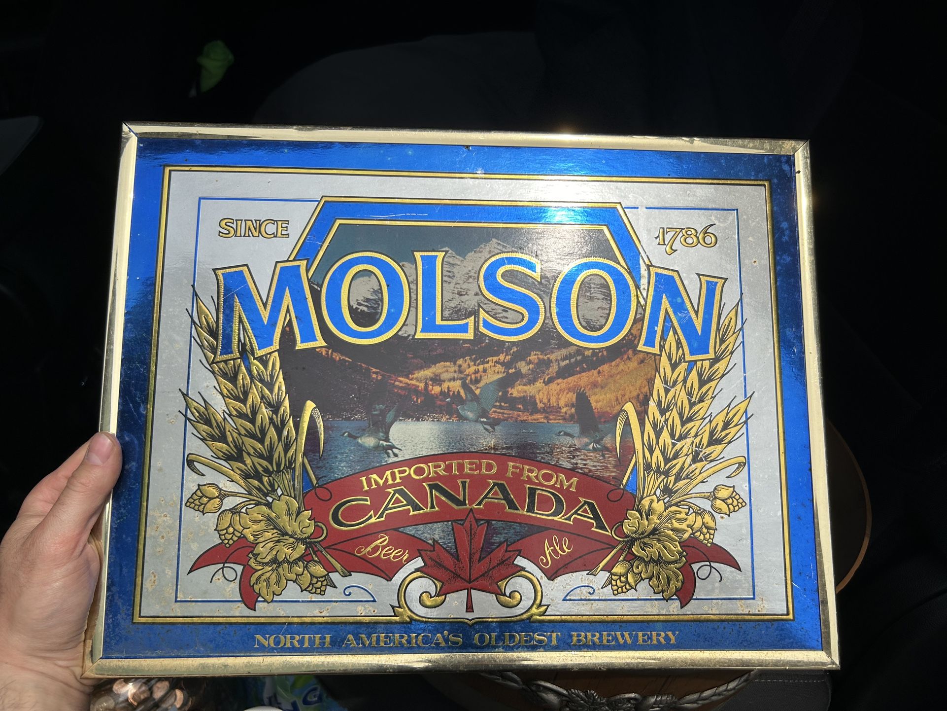 Molson beer wall decoration