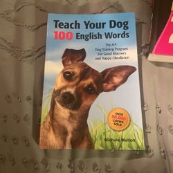 Teach Your Dog 100 English Words