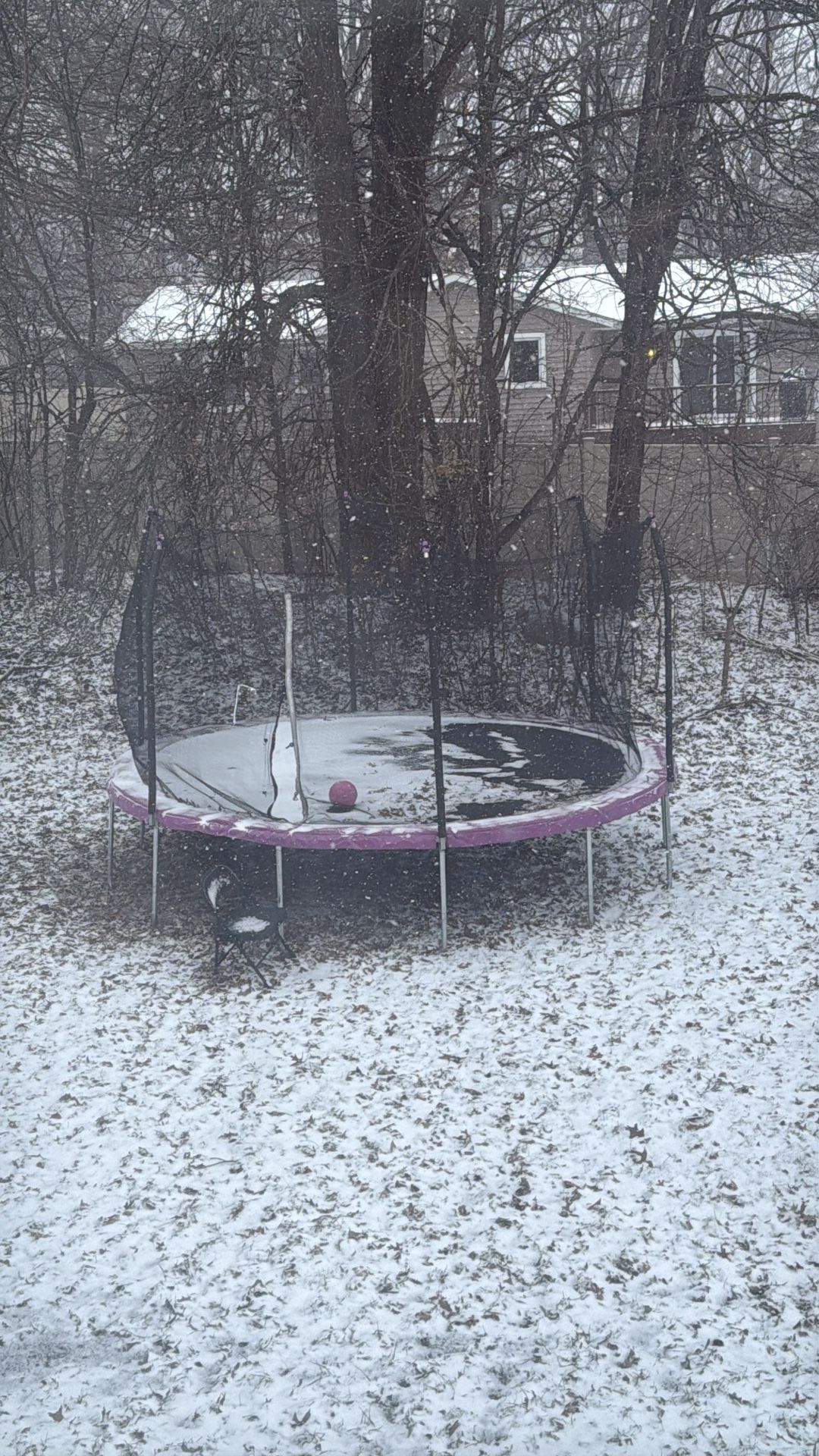 Trampoline 