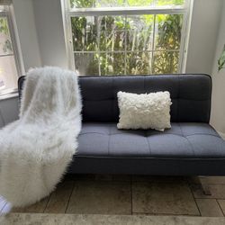 Futon And Area Rug(5x8)