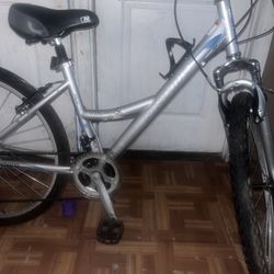 Grey Nishiki Bike