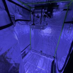48x48x80 Grow Tent