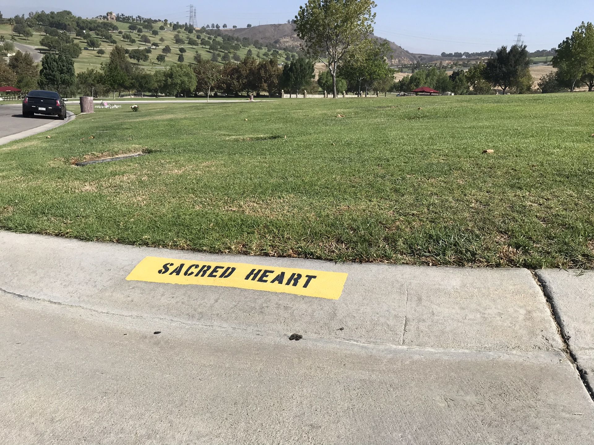 2 Rose Hills Plots in Sacred Heart lawn