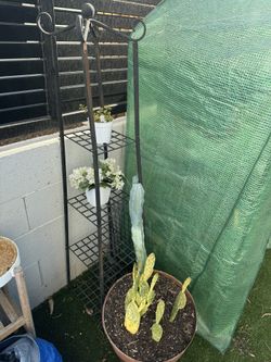Plant Stand