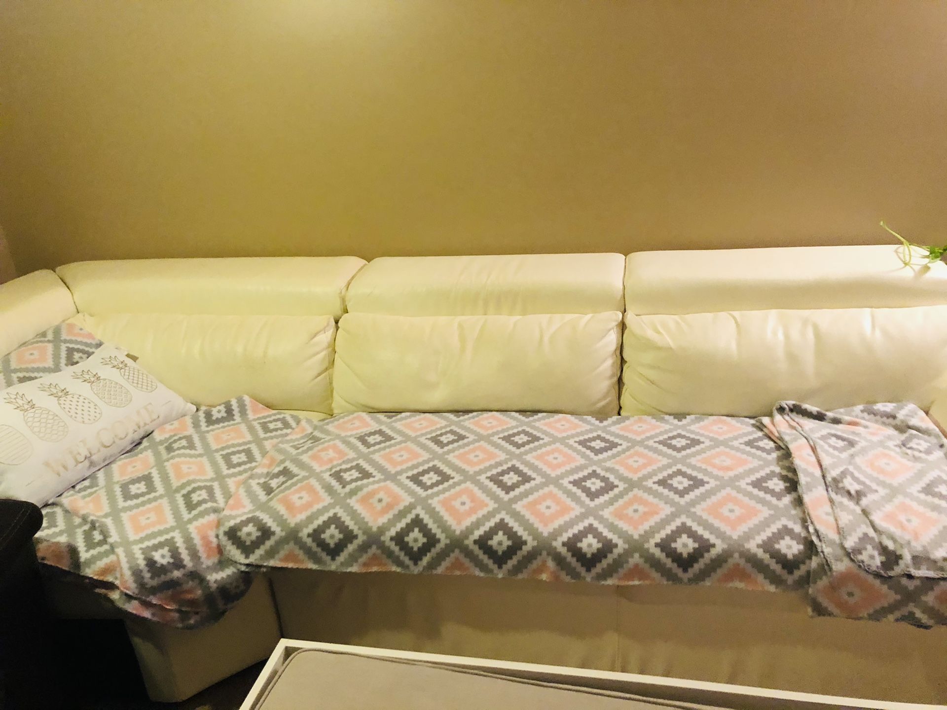 Free White leather couch