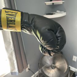 Punching Bag