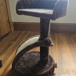 Cat Scratching Post