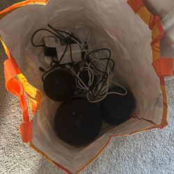 Echo and Echo Dots 