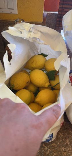 Fresh Home Grown Lemons  🍋  15 Lemons 
