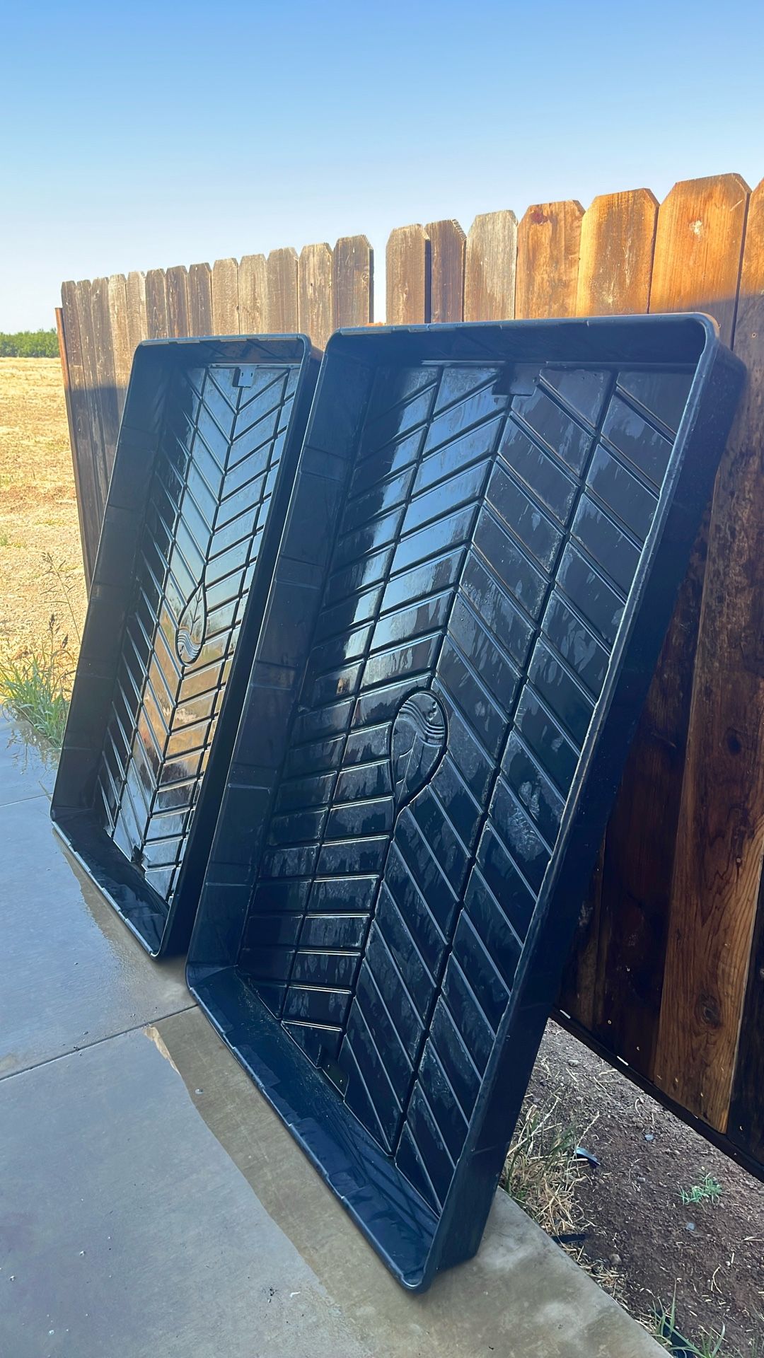 Botanicare 4x6 Grow Tray. 60 Each.