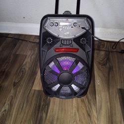 LED Party Speaker