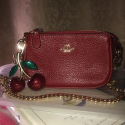 Gorgeous Coach Nolita 15