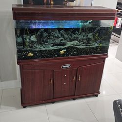 Fish Tank Pecera Aquarium