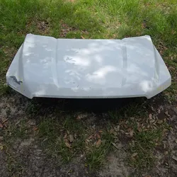2015-2020 Ford F150 Hood