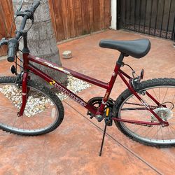 Mountain Bike 12 Speeds Medium Size