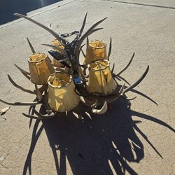 Vintage Antler Chandelier 